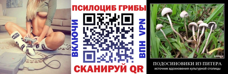 kraken сайт  Учалы  Галлюциногенные грибы Magic Shrooms  наркота 
